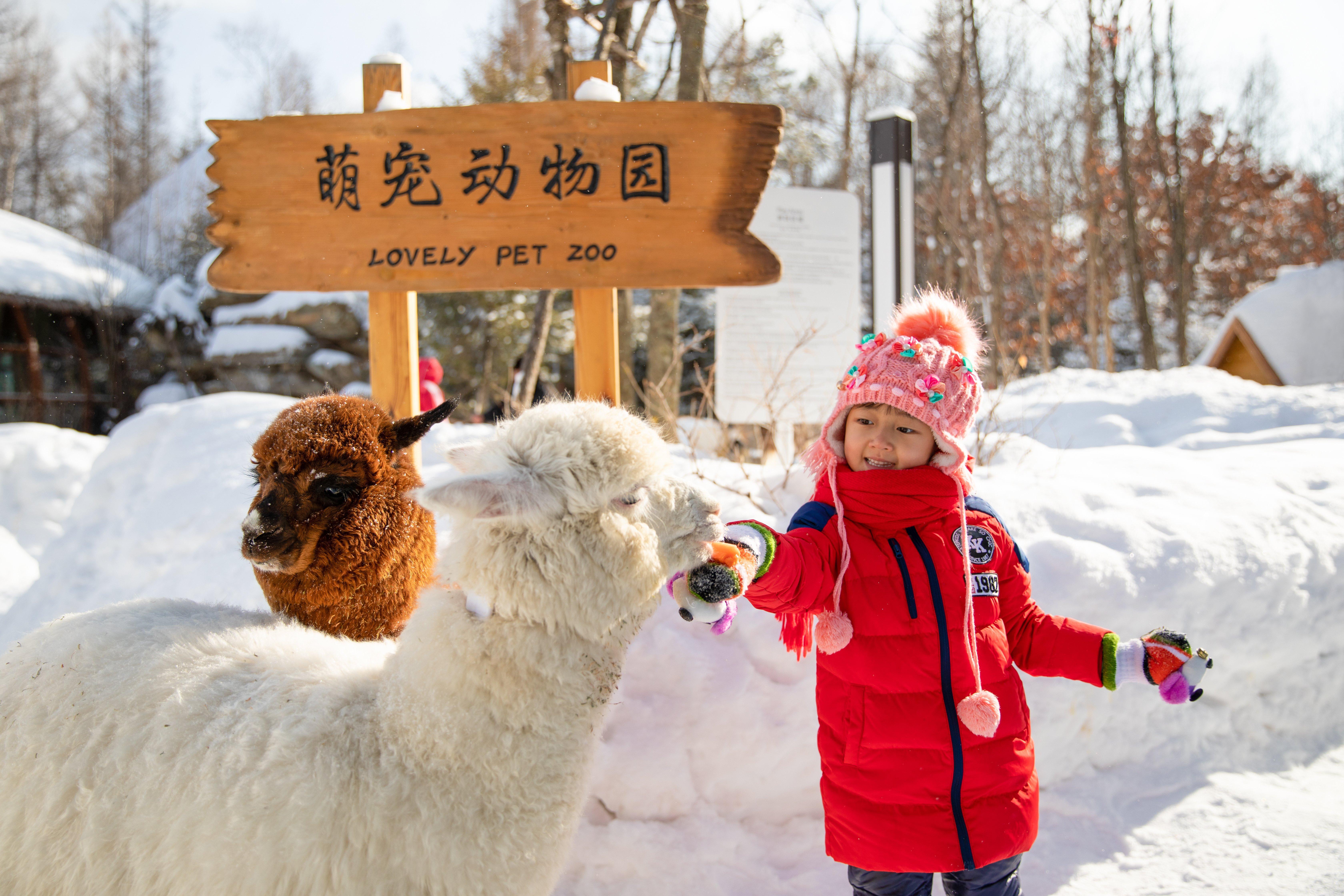 คราวน์ พลาซา รีสอร์ต ฉางไป่ซาน ฮอตสปริง Hotel Antu ภายนอก รูปภาพ